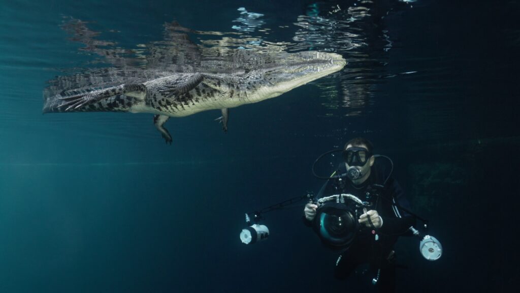Face to Face — S1E1 — Sharks