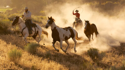 Wild West — Episode 2
