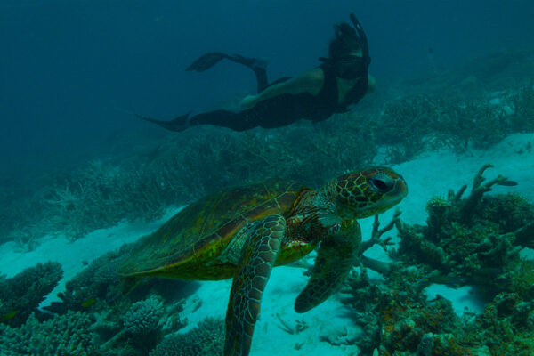 Deep Dive: Australia