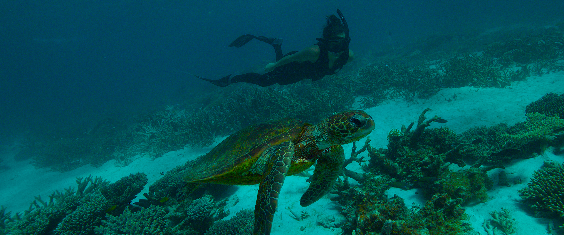 Deep Dive: Australia