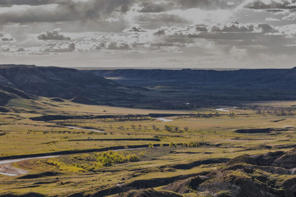 Grasslands: North America's Hidden Wilderness