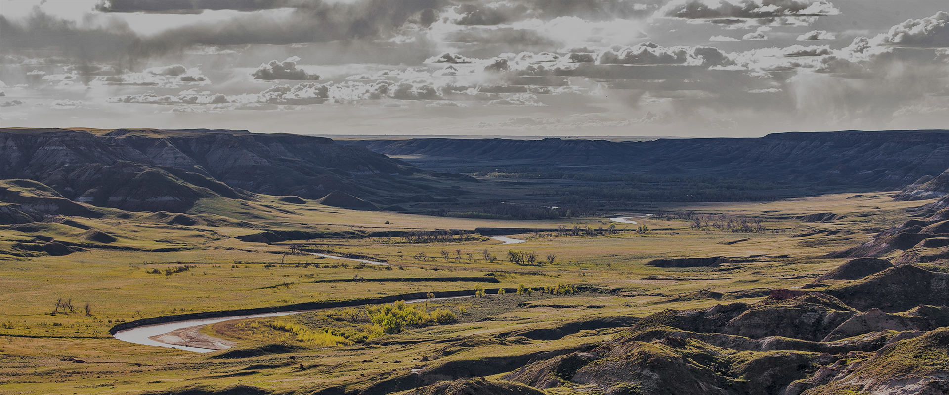 Grasslands: North America's Hidden Wilderness