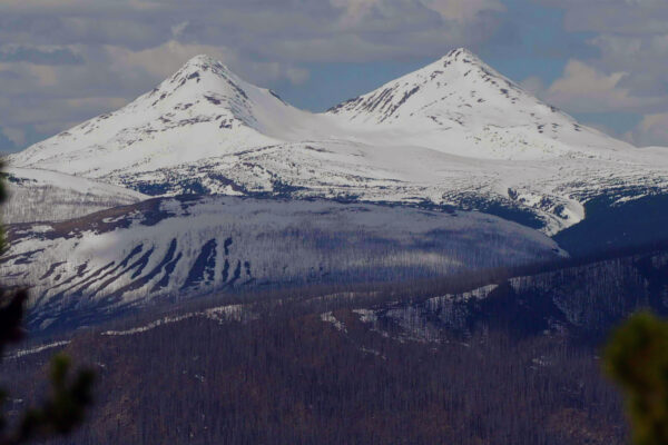 The Rockies' Wild Corridor: From Yellowstone To Yukon