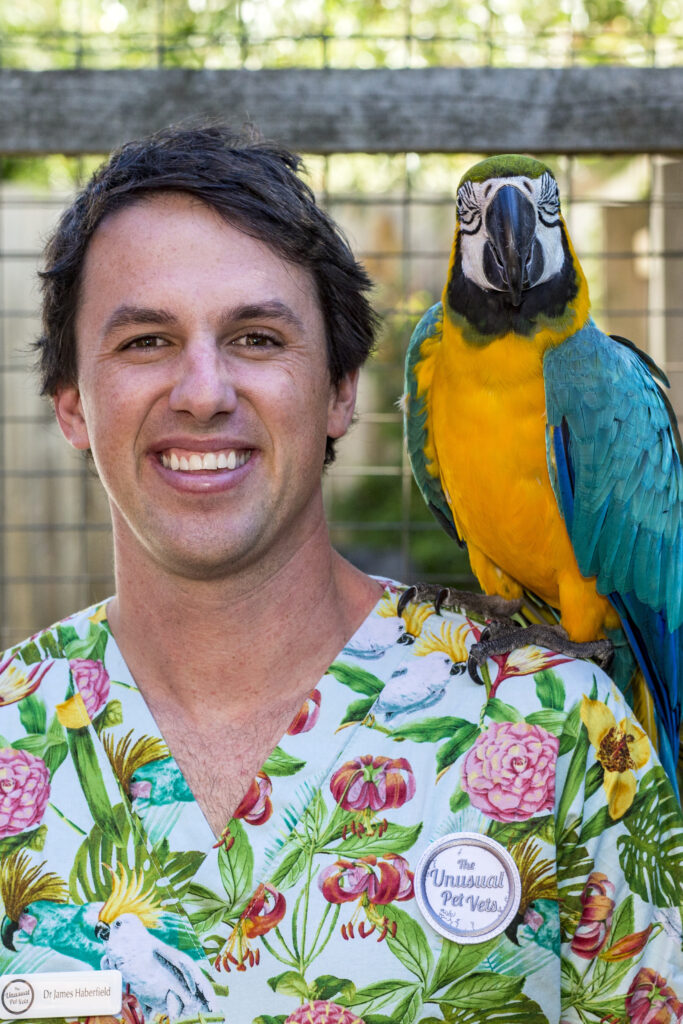 The Bizarre Pet Vets — S1E2 — 102