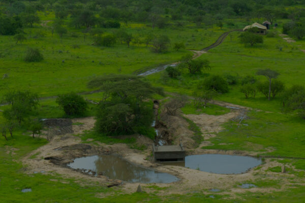 Waterhole: Africa's Animal Oasis
