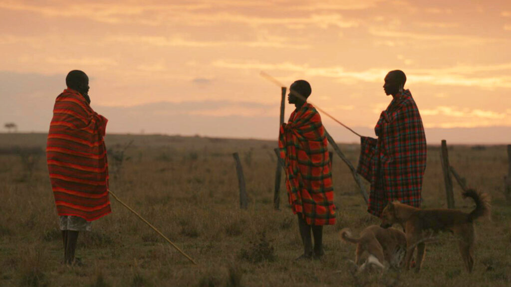 Lion: The Rise and Fall of the Marsh Pride — S1E2 — 102