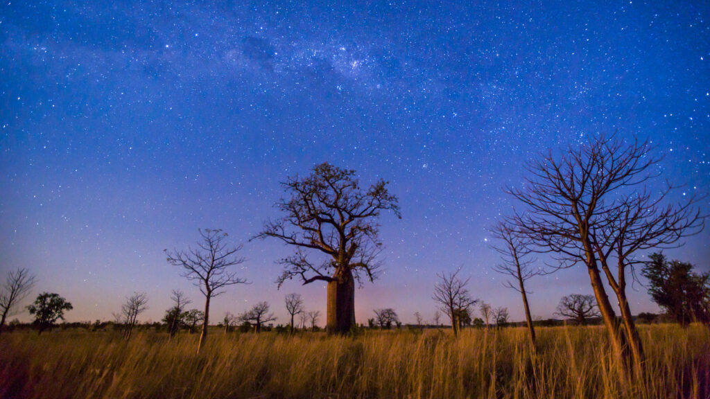 The Kimberley: Australia's Wild West — S1E1 — River of Life